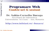 Programare Web - Cookie-uri si sesiuni