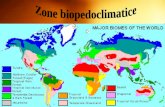 Zone Biogeografice