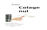 Proiect - Colagen