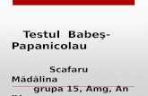 Testul Babes Papanicolaou