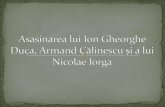 Asasinarea Lui Ion Gheorghe Duca, Armand Calinescu, N Iorga