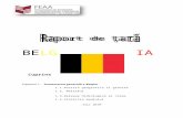 Raport de Tara - Belgia