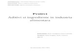 Proiect Aditivisi Ingrediente-CIOCOLATA