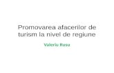 Promovarea afacerilor de turism la nivel de regiune