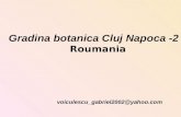 Gradina Botanica Cluj Napoca  2    Roumania