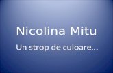 Nicolina Mitu, un strop de culoare