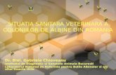 Situatia sanitara veterinara a coloniilor de albine din Romania