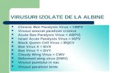 Noutati in bolile virale la albine conf. univ. dr. danut turcu