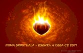 Inima spirituala - Slide Kamala