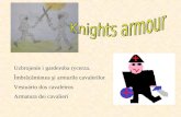 Knight armour