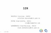SIM Project: Optimizing a Benchmarking Tool