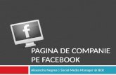 Pagina de companie pe Facebook - Basic