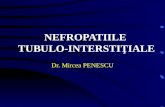 9 nefropatii tubulo interstitiale