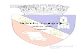 Referat Monografie Slobozia+ Fise Geografi