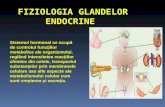 Fiziologia Glandelor Endocrine.hipofiza (1)