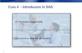 Curs 4 - Pachetul Integrat SAS