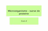 Curs 2 - Microorganisme - Surse de Proteine [Compatibility Mode]