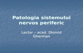 73459315 Patologia Sistemului Nervos Periferic Ro