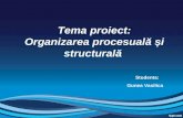 Gunea Vasilica - Organizarea Procesuala Si Structurala - Rev (1)
