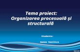 Organizarea Procesuala Si Structurala - Rev (1)