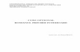 Curs Optional Franceza - Romanul Privirii Interioare III-II