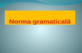 Norma gramaticală