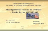 Managementul Riscului de Creditare - Studiu de Caz Ing Bank