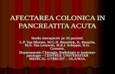 Afectarea Colonica in Pancreatita Acuta