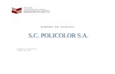 Raport de Analiza - SC Policolor SA
