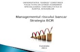 85923249 Managementul Riscului Bancar Strategia BCR