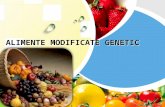 Alimente Modificate Genetic