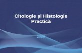 Citologie şi Histologie Practică 2009. Scopul cursului Familiarizarea cu noţiunile de bază ale citologiei –Aspectele normale –Modificările inflamatorii.