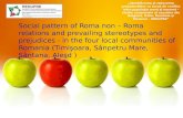 „Identificarea şi reducerea prejudecăţilor ca sursă de conflict între populaţia romă şi neromă - studiu comparativ al cazurilor din Bulgaria, Italia, România.