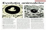 Arborele Lumii - Animale - Evolutia Animalelor