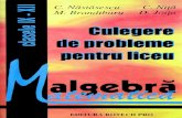Nastasescu, Nita, Brandiburu, Joita - Culegere Algebra (Cls IX-XII)(1997)