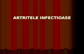 Artritele Infectioase Dr. Ancutascos