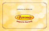 catalog produse Boromir 2012.pdf