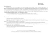 Dacia Solenza - catalog piese de schimb SLZ.pdf