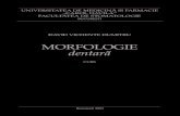Morfologia Aparatului Dento Maxilar