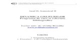 Dinamica Grupurilor - programa curs.pdf
