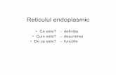 Reticulul Endoplasmic Icon