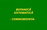 Botanica Sistematica - Cormobionta