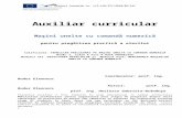 Auxiliar curricular masini cnc (2)tradus in romana