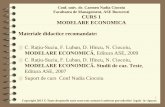 Curs1 Modelare Economica 2013_Nadia Ciocoiu