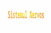 Sistem nervos central