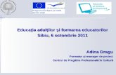 Proiecte de cooperare europeana in 2011