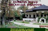 Nestemata din Romania,Conacul Bellu.