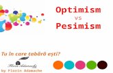 Optimism vs Pesimism - Florin Adamache Prezentare