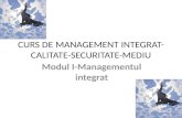 Curs de management integrat modul 1