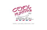 Cool hunting by paravion